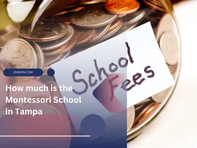 How much is the Montessori School in Tampa?