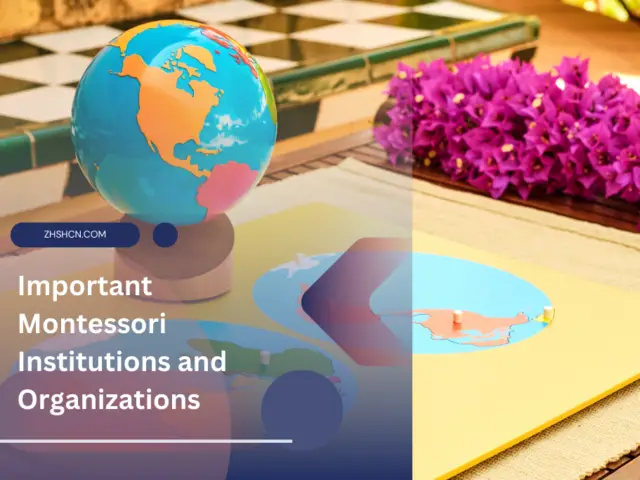 Important Montessori Institutions and Organizations