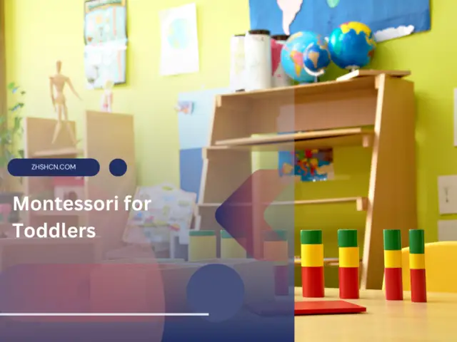 Montessori for Toddlers