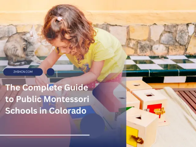 The Complete Guide to Public Montessori Schools in Colorado