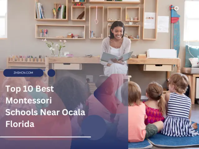 Top 10 Best Montessori Schools Near Ocala Florida