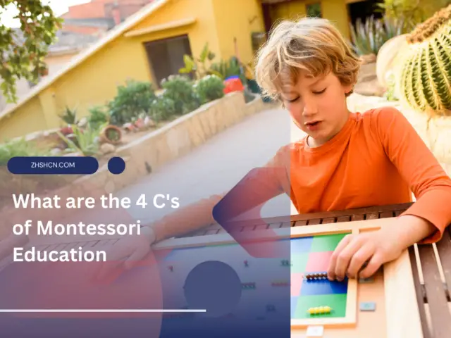 What are the 4 C’s of Montessori Education?