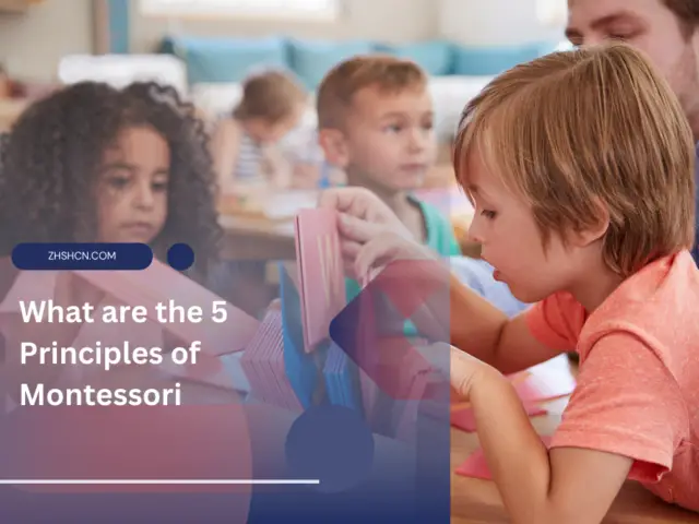 What are the 5 Principles of Montessori?